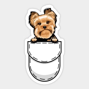 Funny Yorkshire Terrier Pocket Dog Sticker